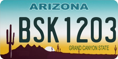 AZ license plate BSK1203