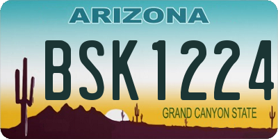 AZ license plate BSK1224