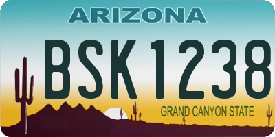 AZ license plate BSK1238