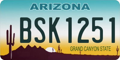 AZ license plate BSK1251