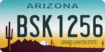 AZ license plate BSK1256