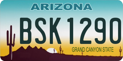 AZ license plate BSK1290