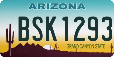 AZ license plate BSK1293