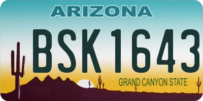 AZ license plate BSK1643