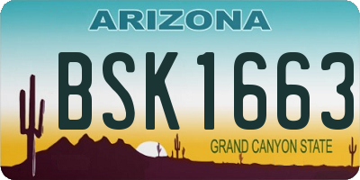 AZ license plate BSK1663