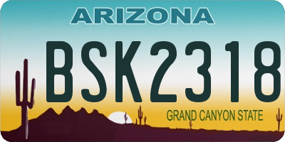 AZ license plate BSK2318