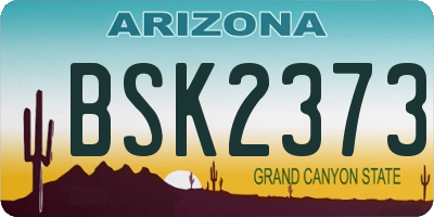 AZ license plate BSK2373