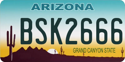 AZ license plate BSK2666