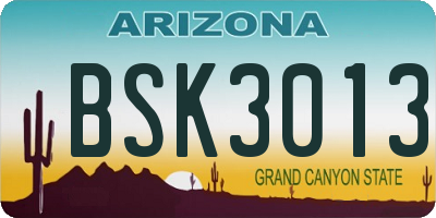 AZ license plate BSK3013
