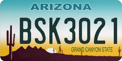 AZ license plate BSK3021