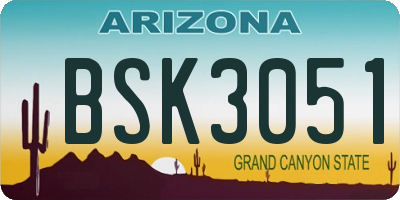 AZ license plate BSK3051