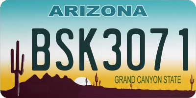 AZ license plate BSK3071