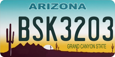 AZ license plate BSK3203