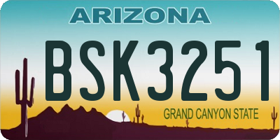 AZ license plate BSK3251