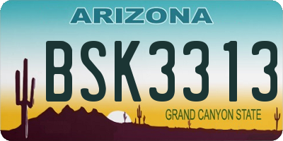 AZ license plate BSK3313