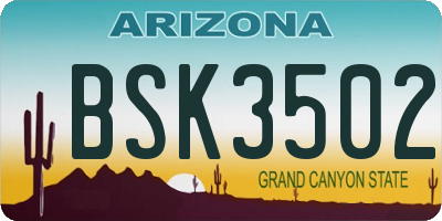 AZ license plate BSK3502