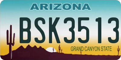AZ license plate BSK3513