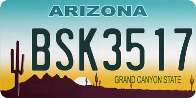 AZ license plate BSK3517