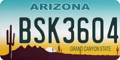 AZ license plate BSK3604