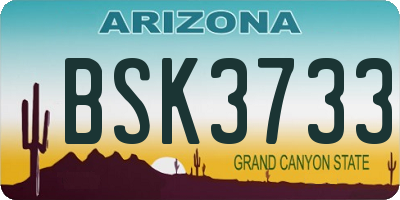 AZ license plate BSK3733