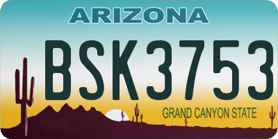 AZ license plate BSK3753