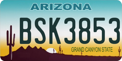 AZ license plate BSK3853