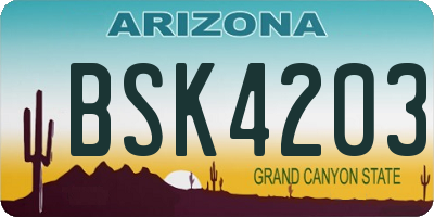 AZ license plate BSK4203