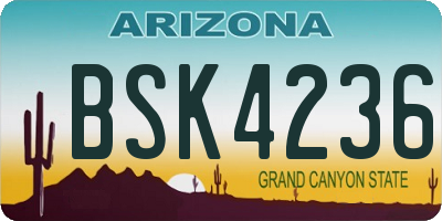 AZ license plate BSK4236