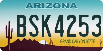 AZ license plate BSK4253