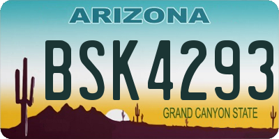 AZ license plate BSK4293