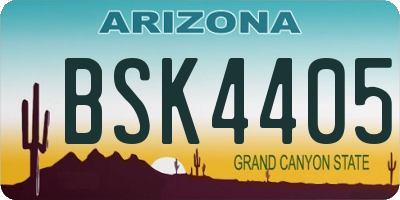 AZ license plate BSK4405