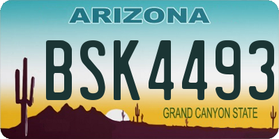 AZ license plate BSK4493
