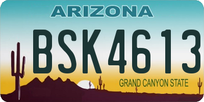 AZ license plate BSK4613