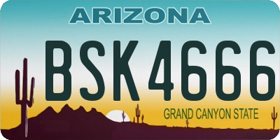 AZ license plate BSK4666