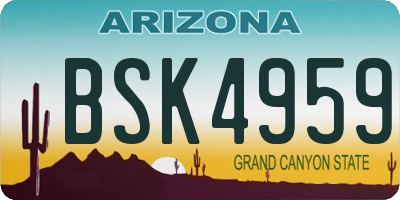 AZ license plate BSK4959