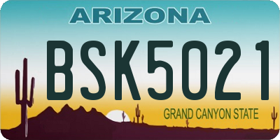 AZ license plate BSK5021