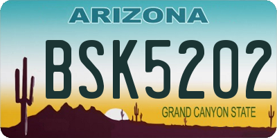 AZ license plate BSK5202