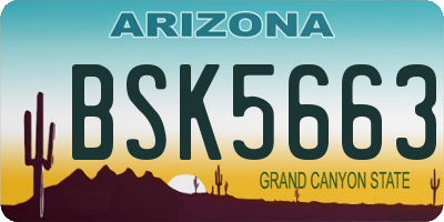 AZ license plate BSK5663