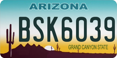 AZ license plate BSK6039