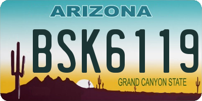 AZ license plate BSK6119