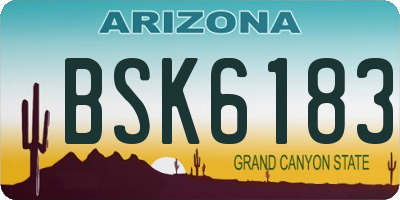AZ license plate BSK6183