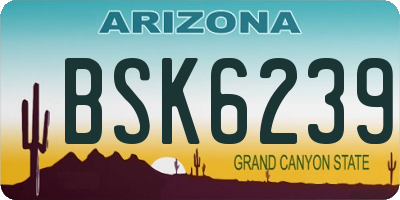 AZ license plate BSK6239