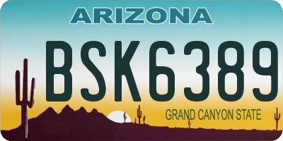 AZ license plate BSK6389