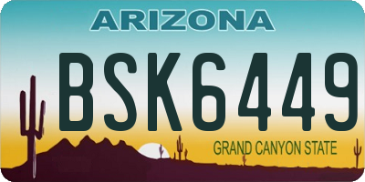AZ license plate BSK6449