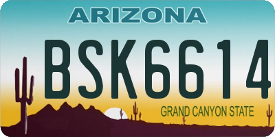 AZ license plate BSK6614