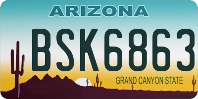 AZ license plate BSK6863