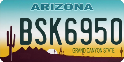 AZ license plate BSK6950