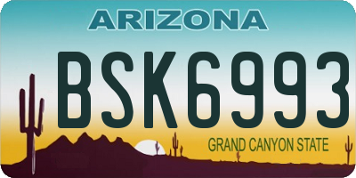 AZ license plate BSK6993