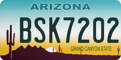 AZ license plate BSK7202