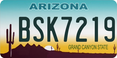 AZ license plate BSK7219